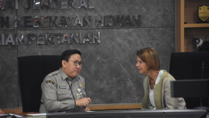 Indonesia Menuju Tuan Rumah Kejuaraan Kuda Internasional, Kementan Pacu Standar Kesehatan Hewan Dunia Terpenuhi